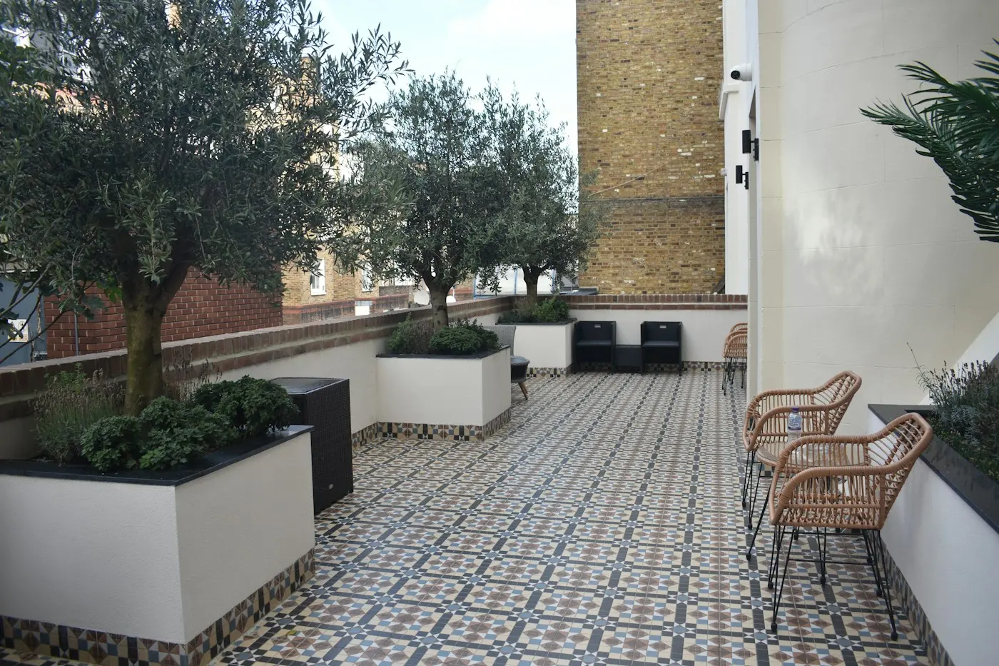 Terrasse en carreaux de ciment et oliviers en bac