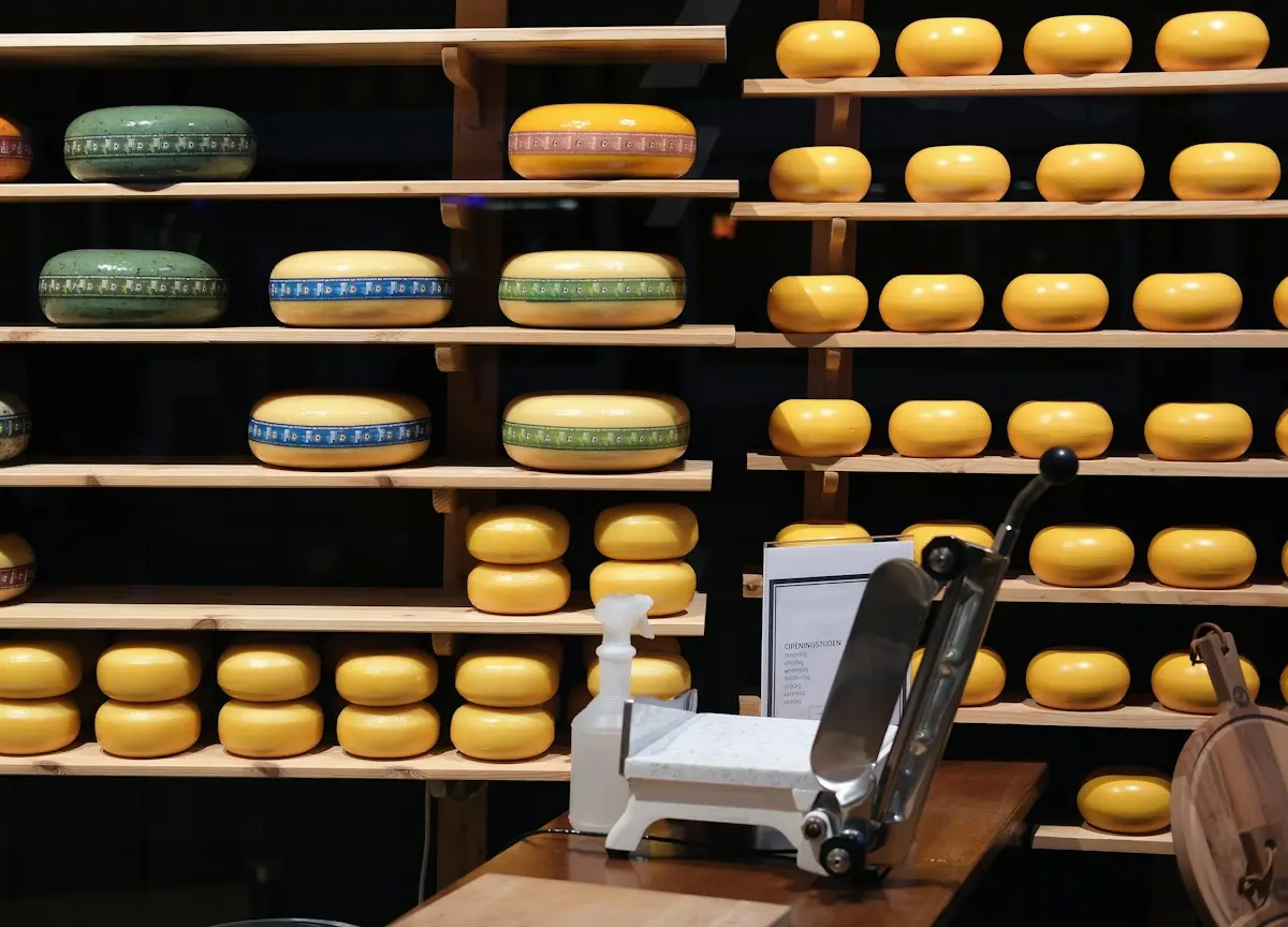 Meules de fromage sur les étagères de la cave