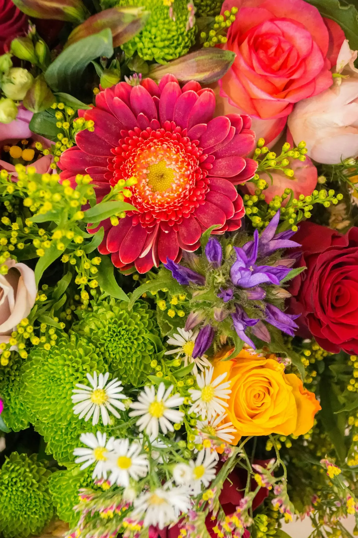 Bouquet vif de gerberas, de roses et de fleurs des champs