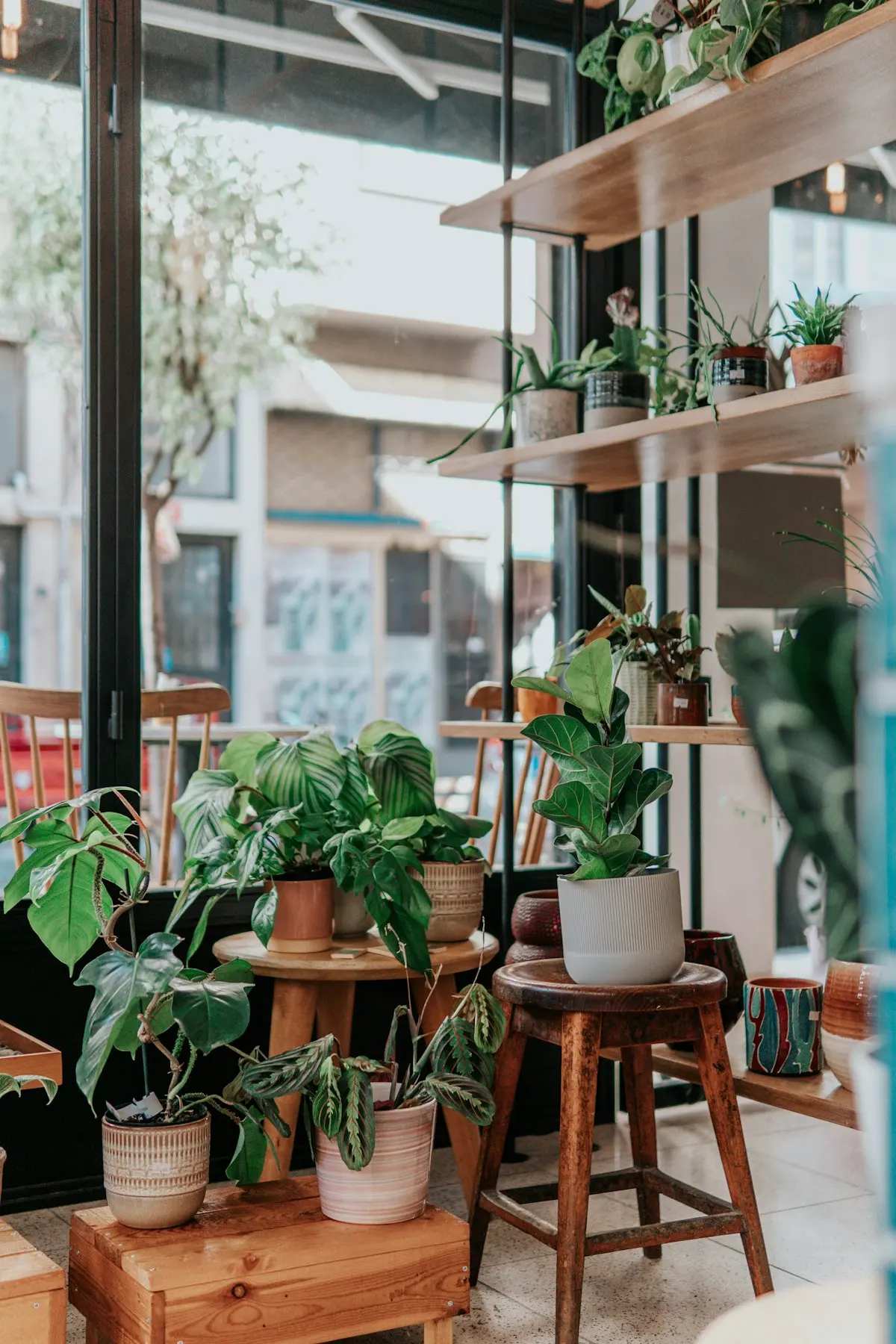 Plantes vertes en pots sur des tabourets en bois