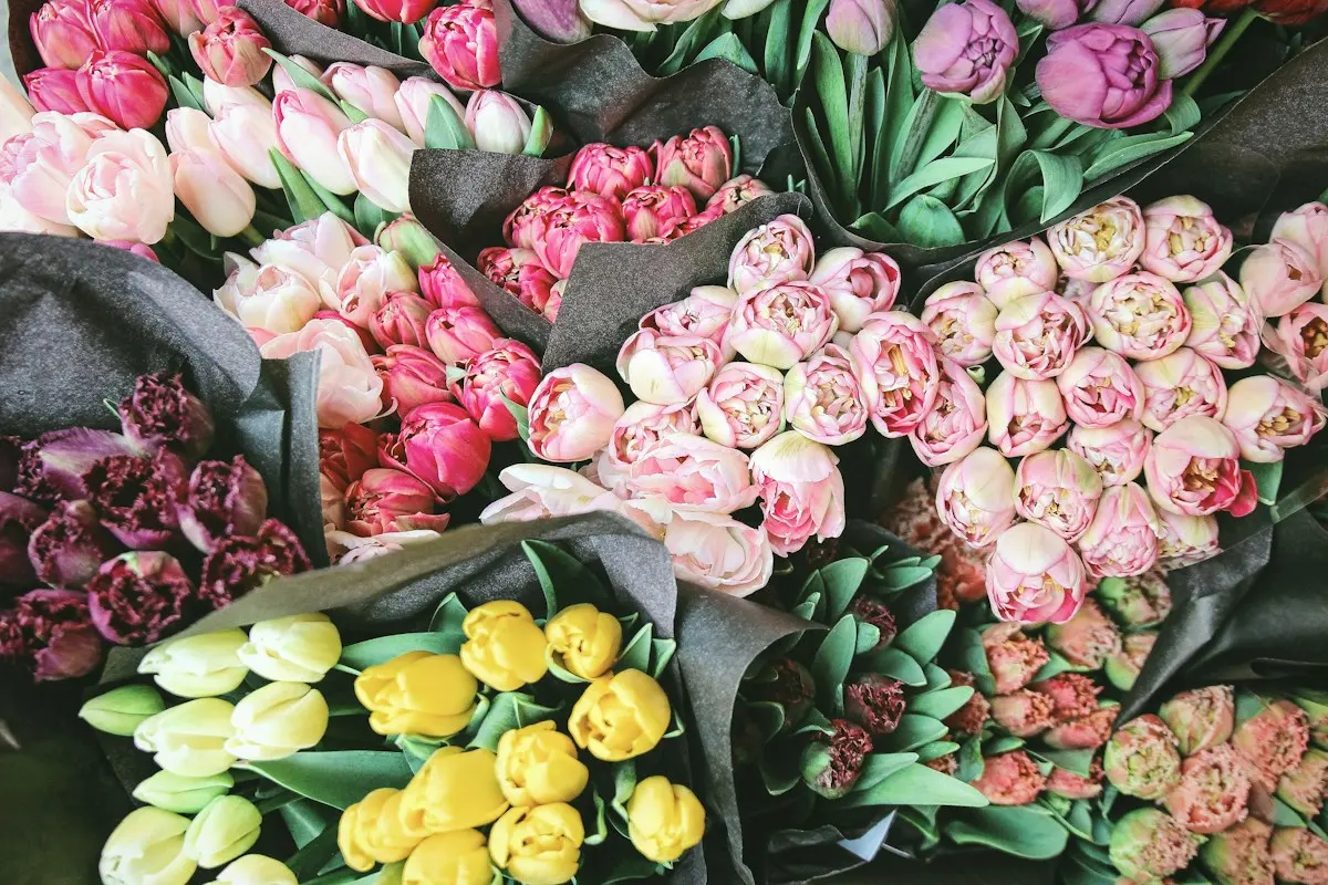 Bouquet de tulipes de toutes les couleurs