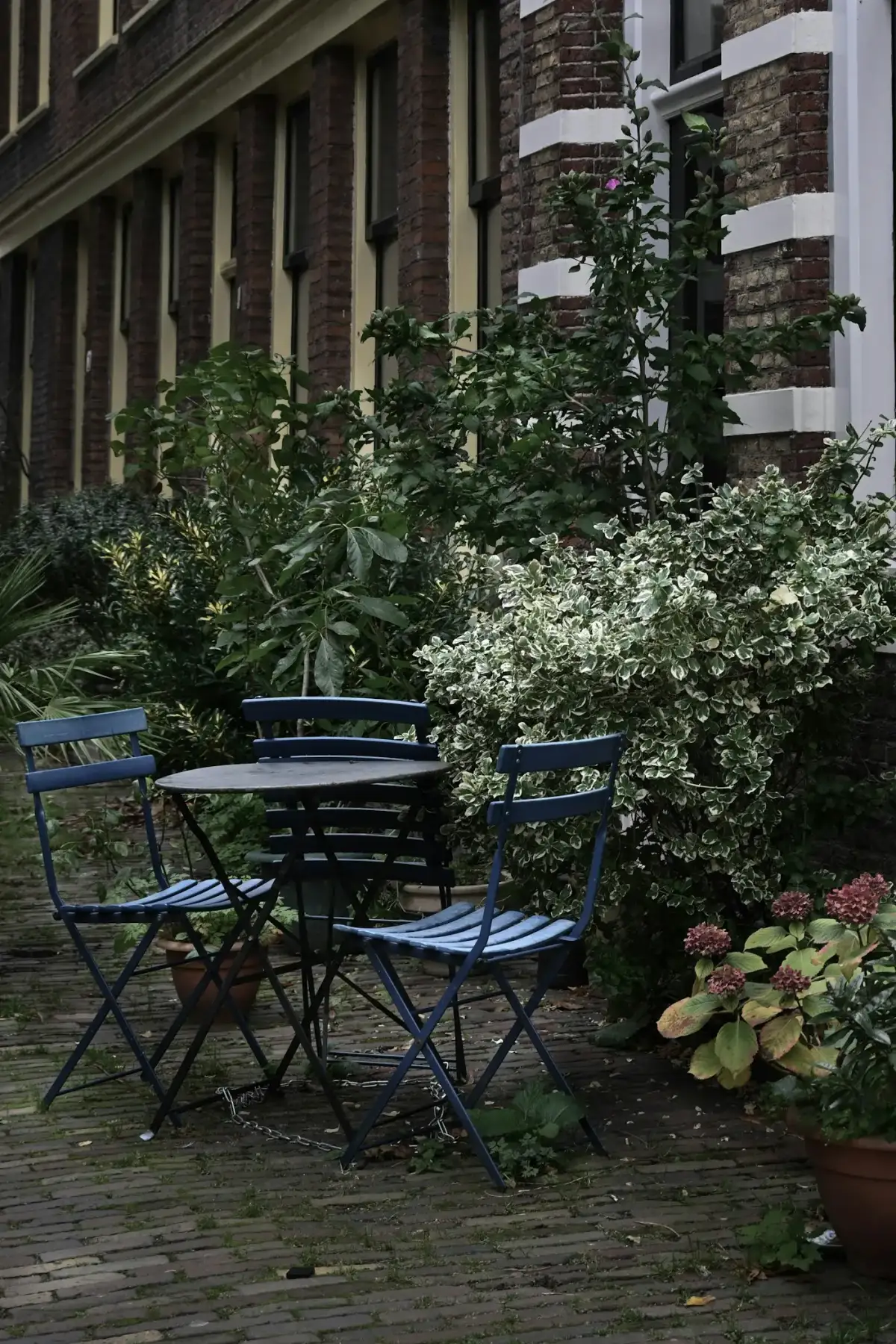 Chaises bleues dans le jardin