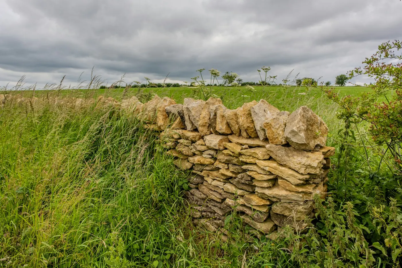 Mur de pierre sèche dans un pré
