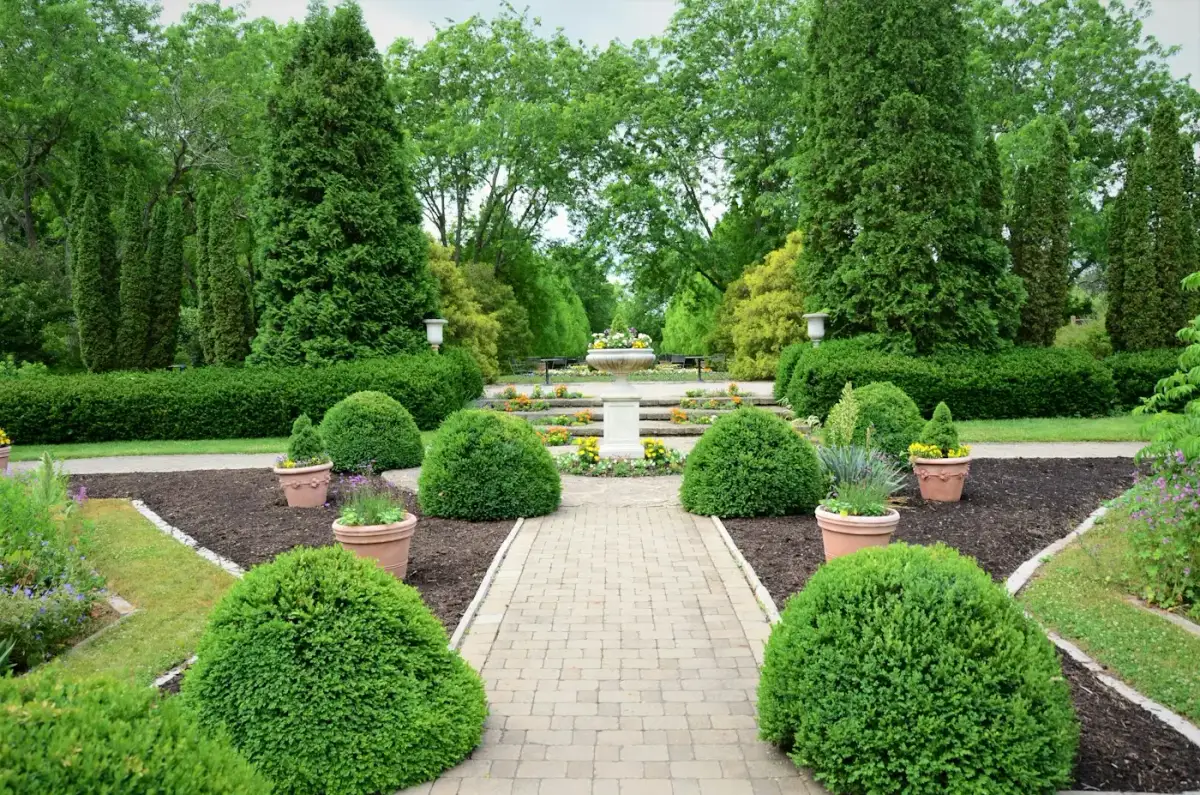 Jardin à la française avec buis taillés