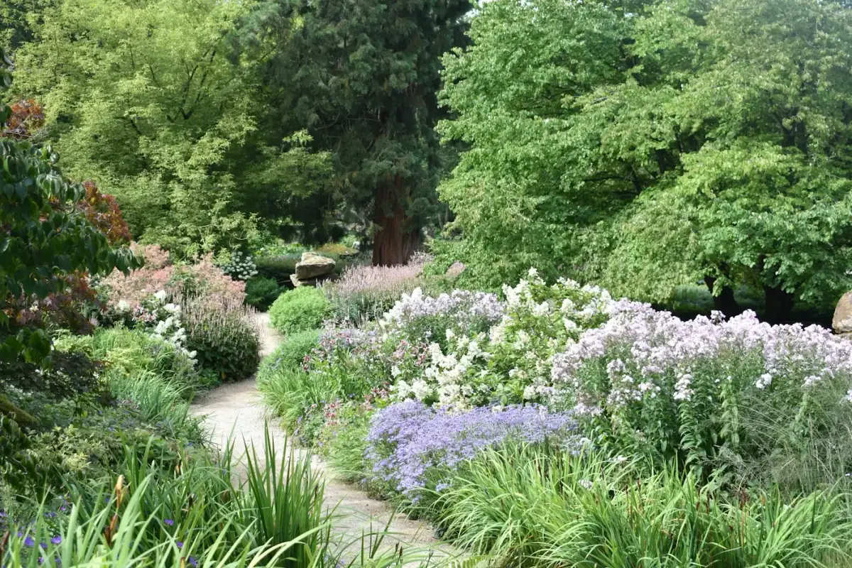 Jardin rempli de fleurs le long d’un chemin