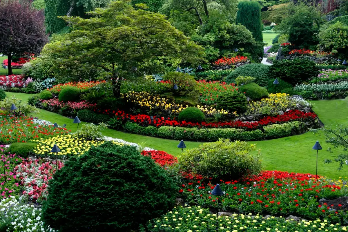 Massifs de fleurs colorés et arbustes taillés