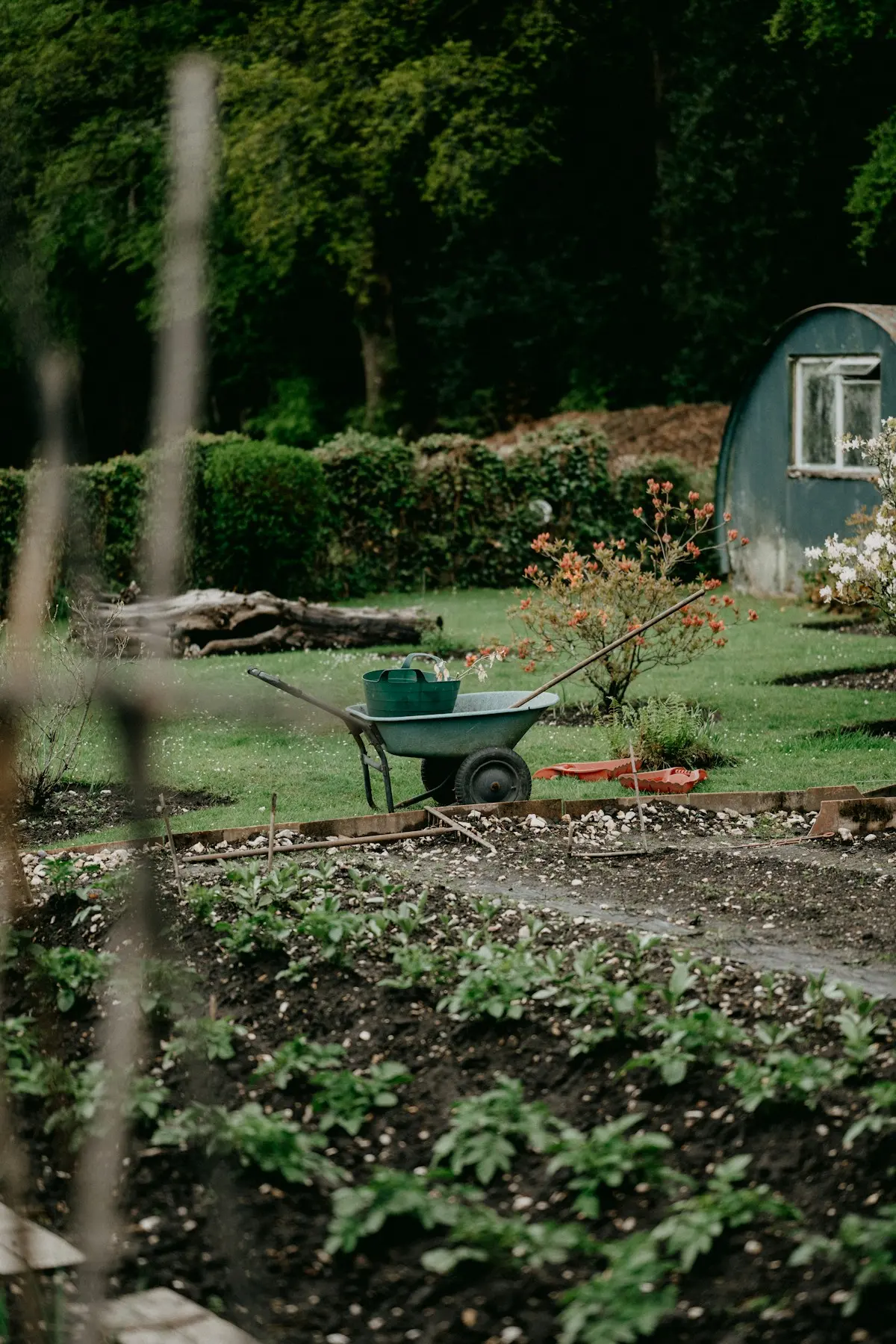 Potager avec brouette et outils