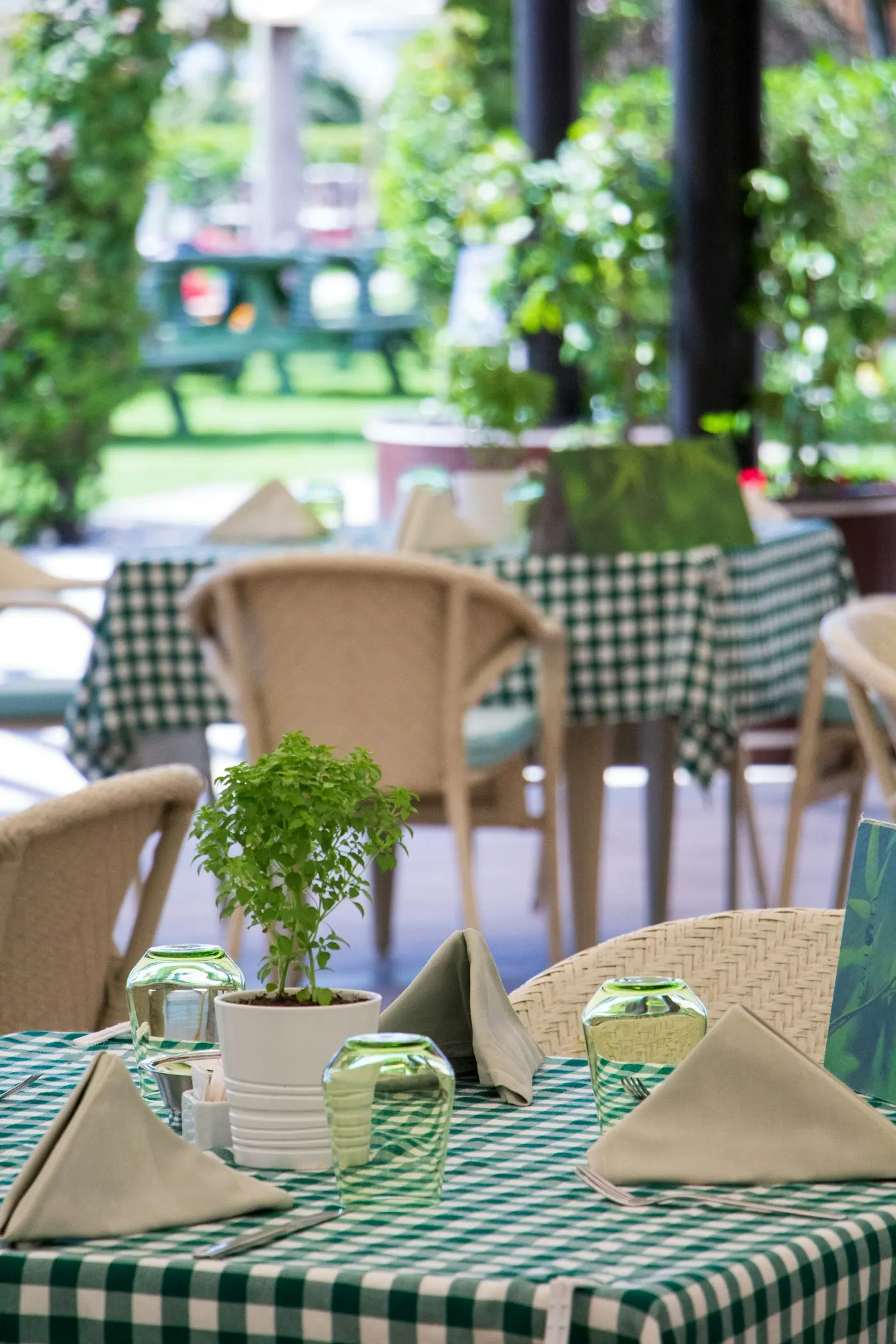 Terrasse ombragée aux nappes à carreaux verts