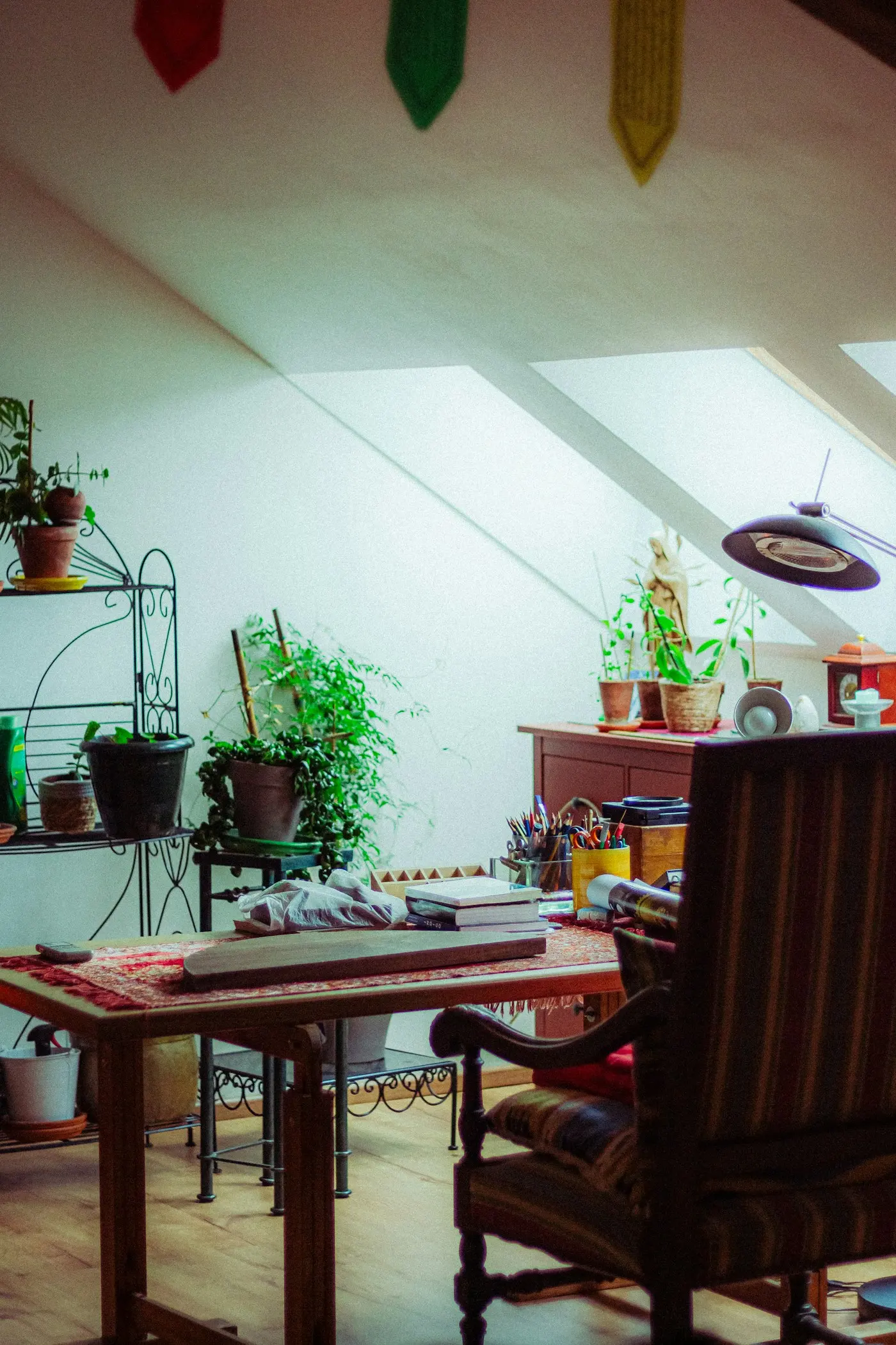 Pièce claire avec des plantes et un fauteuil