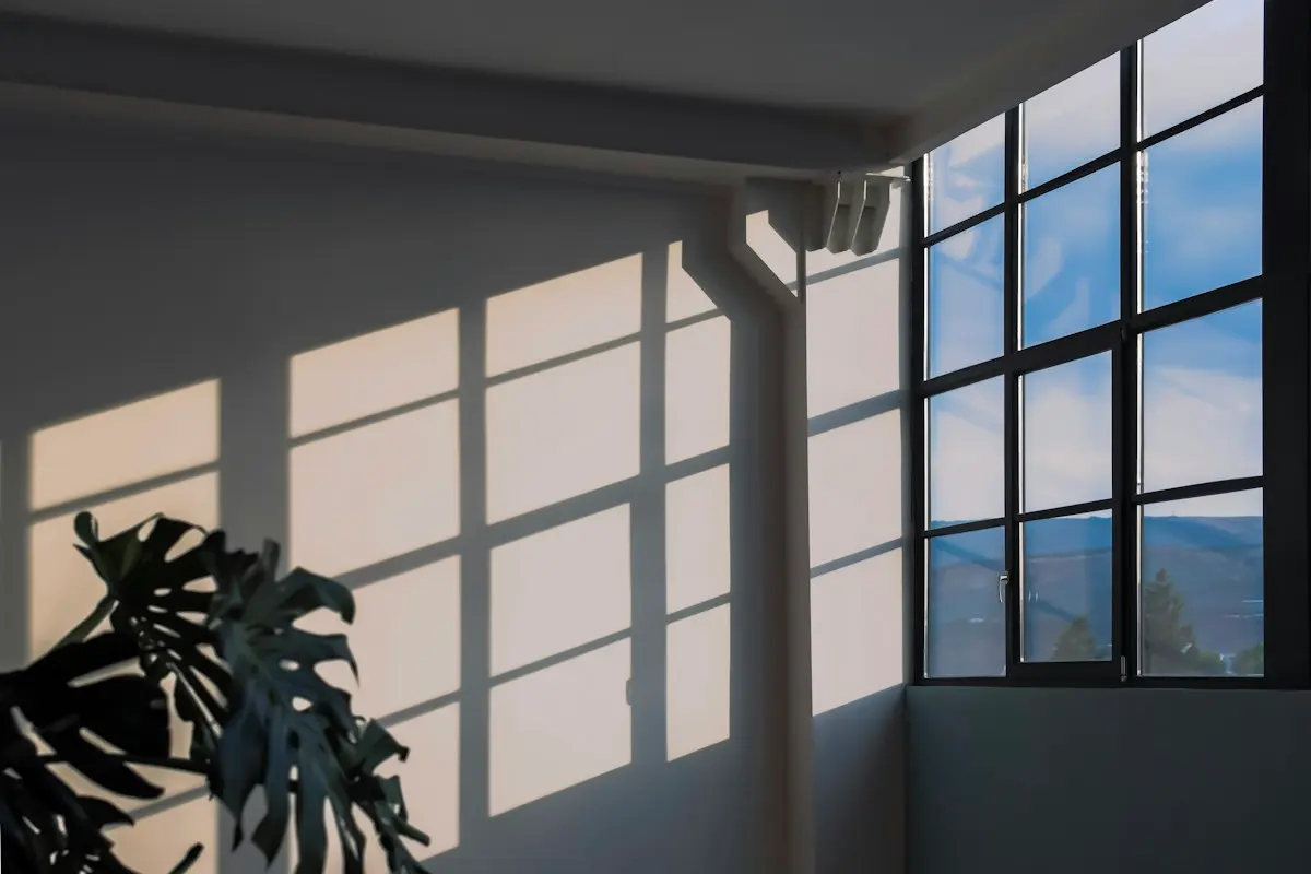 Ombres d’une fenêtre et d’une plante sur un mur