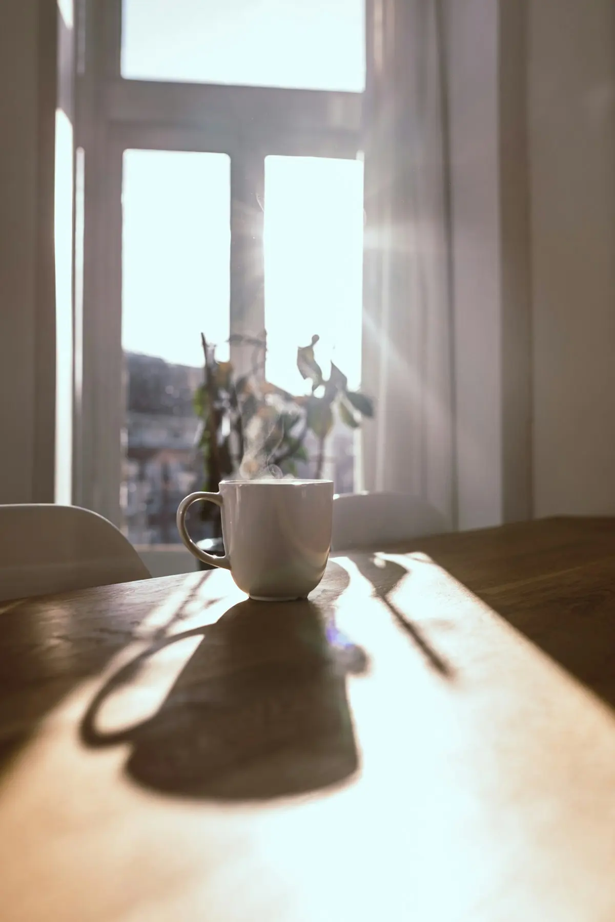 Tasse fumante sur une table au soleil